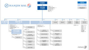 “한진그룹, 배당 확대…부동산·비핵심 계열사 매각 속도낼 듯”