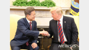 北美 ‘굿 이너프 딜’ 숙제 안은 文…트럼프와 접점 찾을까