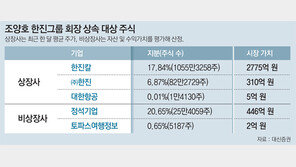 조양호 회장 보유 한진그룹 계열사 지분 매각