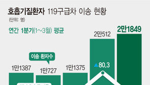 올1분기 호흡기질환자 2.2만명 구급차 이송…5년來 최다