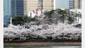 [청계천 옆 사진관] “꽃길만 걸으세요” <1> 석촌호수