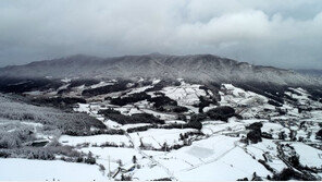 눈꽃이 벚꽃을 덮다…겨울로 돌아간 강원도 [청계천 옆 사진관]