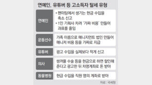 1인 미디어사업자-1인 기획사… 신종 고소득자 등 176명 세무조사