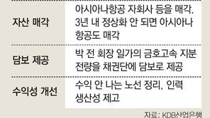 “3년내 정상화 안되면 아시아나항공 팔겠다”… 금호, 자구계획안 채권단에 제출