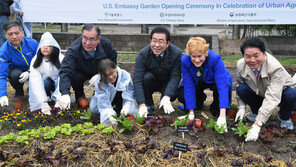 “美대사관 텃밭에 韓美 작물 심어요”