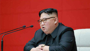 “비핵화 결단 번복 없다”…黨 엘리트 설득 나선 北 김정은