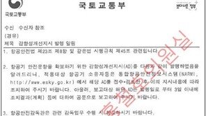 보잉 737맥스 8 추락원인, 국내 도입 당시에도 발견