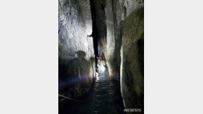 고사리 꺾던 70대 노인, 70m 낭떠러지 추락…민·관의 빛나는 구출작전