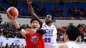 베테랑 양동근의 해시태그 #챔프전 #체력 #챔피언반지