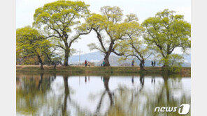 [날씨] 16일 아침도 포근 낮 20도 넘어…미세먼지 ‘보통’
