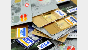 카드사-대형가맹점, 수수료 협상 ‘지지부진’…타결 언제쯤?