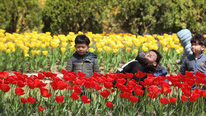 16일 낮기온 확 오른다…서울 21도