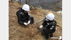軍, DMZ 화살머리고지서 6·25전사자 유해 4점 추가 발굴