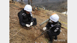 軍, DMZ 화살머리고지 6·25전사자 추정 유해 추가 발견
