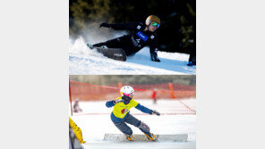 강원랜드, 국내유일 알파인 스노보드팀 창설