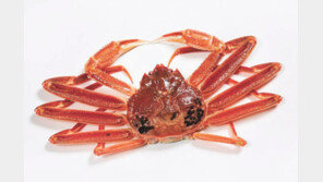 세계 정상들이 맛보고 감탄한 영덕대게