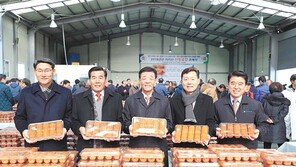 소비자가 꼽은 명품곶감 ‘지리산 산청곶감’