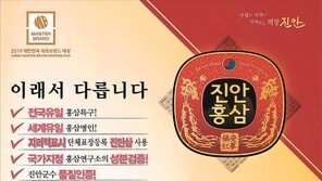 고원지대서 재배 진안인삼, 대표 홍삼브랜드로 자리매김