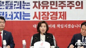 나경원 “北에 단호한 文대통령 기대했지만 헛된 희망”