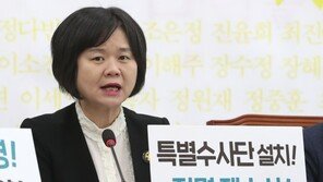 이정미 “황교안 비롯해 그 누구도 세월호 참사 책임지지 않아”