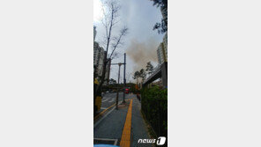 대전 산불…소방 “진화 중, 인명피해 無”