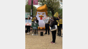 ‘트럼프 닭’ 또 등장…美시민들 “겁쟁이라 납세자료 못내?”