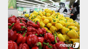 한국산 ‘파프리카’ 14억 中시장 열린다…日 의존도 낮출 것