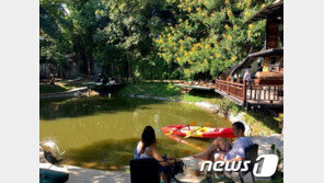 태국 치앙마이 짚라인 사고…캐나다 관광객 추락사