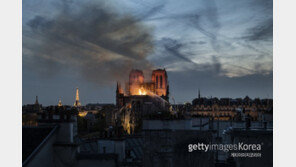 노트르담 대성당의 비극