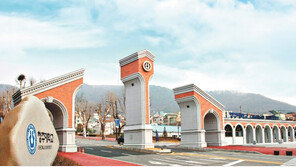 국제교류-인턴십 등 다양한 장학시스템 마련