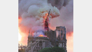 인류문화의 ‘첨탑’이 무너졌다