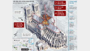 “오, 신이시여” 눈물과 탄식… 850년 프랑스 역사가 불탔다