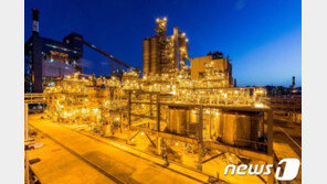 아시아나 2대 주주 ‘금호석유’ 주가, 기 못 펴는 이유