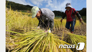 농촌인구 셋 중 한 명 70세 이상 노인…고령화 더 심해졌다