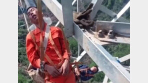 [영상] 지상 50m 송전탑서 낮잠 ‘쿨쿨’…조작 아닌 실화라고?