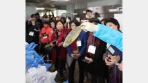 검사실에선 비린내 풀풀…감천항 日産 수산물 검사 현장 가보니