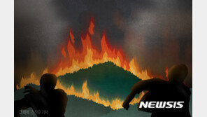 대구 K2사격장 인근서 산불…임야 660여㎡ 태우고 진화