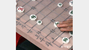 [고양이 눈]고수란 무엇인가