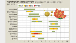“꽃구경 꿈도 못 꿔요” 봄이 괴로운 알레르기 환자들