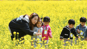 대구 혁신도시에 유채꽃 활짝