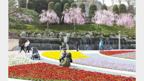 힐링명소로 자리매김한 세종시 수목원 ‘베어트리파크’