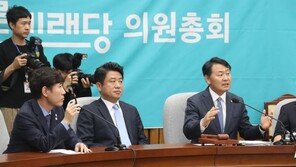 ‘바미해’가 무슨 뜻?…바른미래, 패스트트랙 합의 불발