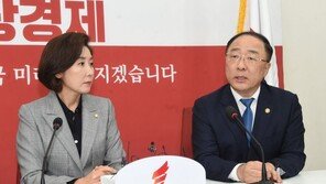 홍남기 “총선용 아닌 경제살리기 추경”…한국당 협조 당부