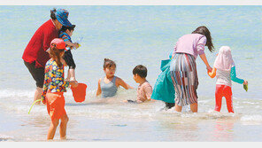 바닷물에 풍덩… 제주에 먼저 온 초여름