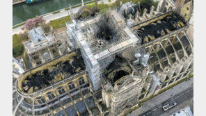 93개 대성당서 동시에 울린 종소리… 프랑스, 하나가 되다