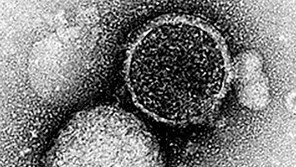 치료-진단을 동시에… ‘테라그노시스’를 아시나요