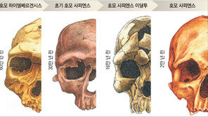 풍부한 의사소통 위해… 인류, 코 빼고 얼굴 돌출부 다 버렸다