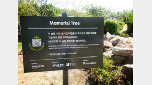 ‘로이킴숲’ 철거 완료…강남구청 “철거 민원 많아 흔적 없애”