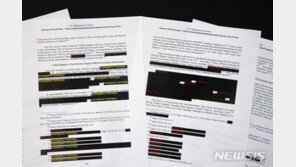 크렘링궁 “뮬러 특검, 러시아의 美대선 개입 증거 못찾아”