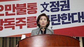 나경원, 한국당 장외투쟁서 “北·적폐청산만 아는 ‘북적북적 정권’ 심판해야”